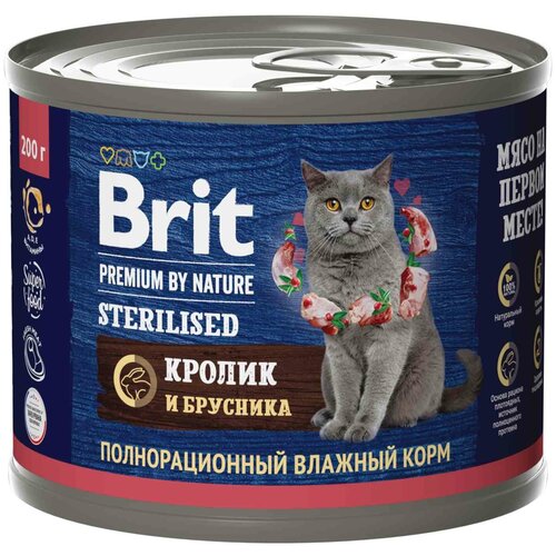   BRIT Premium by Nature       200 