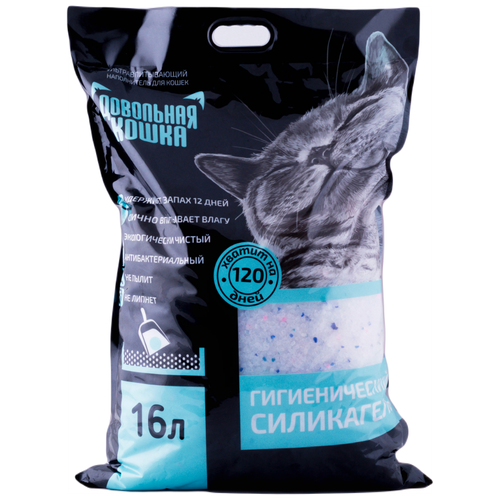 ���� ����������� ��� �������� �������� ������������� 