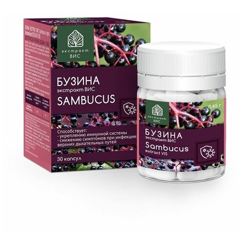     (Sambucus nigra Standardized EXTRACT VIS)  0,45  30   -     , -  