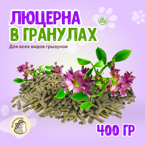 ���� ���� ��� �������� ������� � �������� 4�� ��� ������� ������, �������, ��������, �������, ����, ��� �������, 400 ��, ������ ������