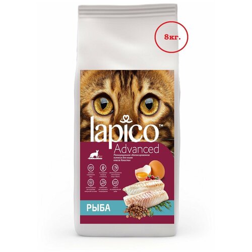  LAPICO ADVANCED      (8 )   -     , -  