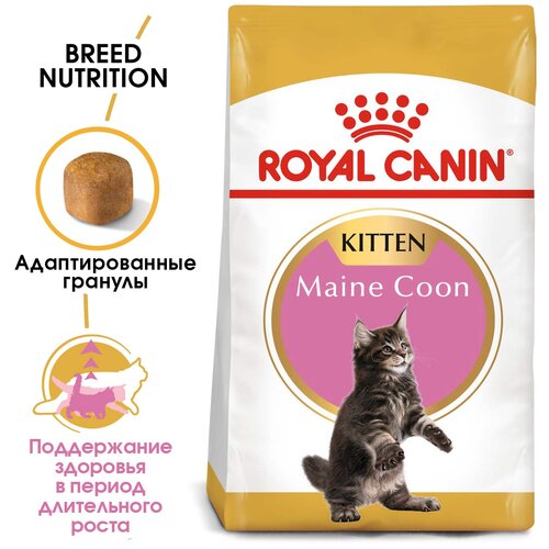      Royal Canin KITTEN MAINE COON ( -) Birth & Growth      -,    ,           3  15  2    -     , -,   