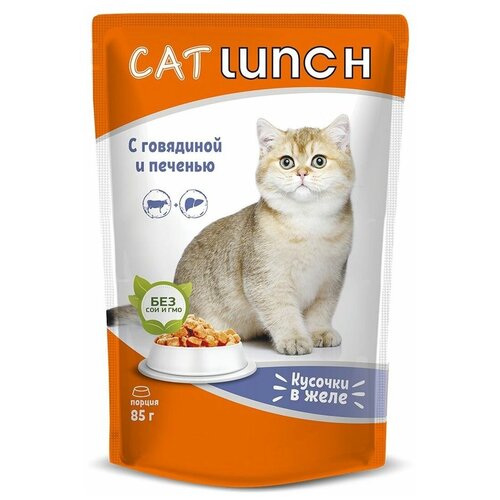  Cat Lunch      ,  (0.085 ) 24  (2 )   -     , -,   