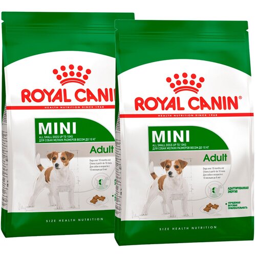    ROYAL CANIN MINI ADULT      (0,8 + 0,8 )   -     , -  