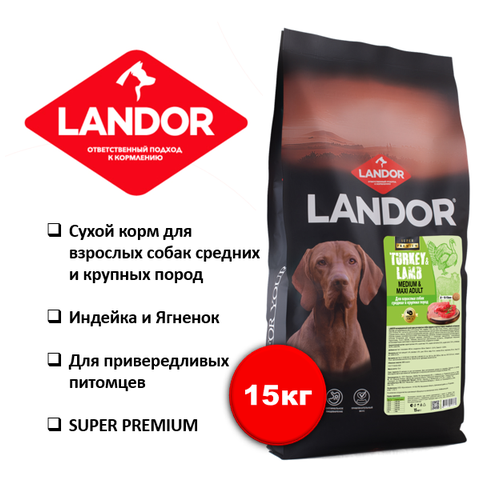     LANDOR    c    c   , 15   -     , -  