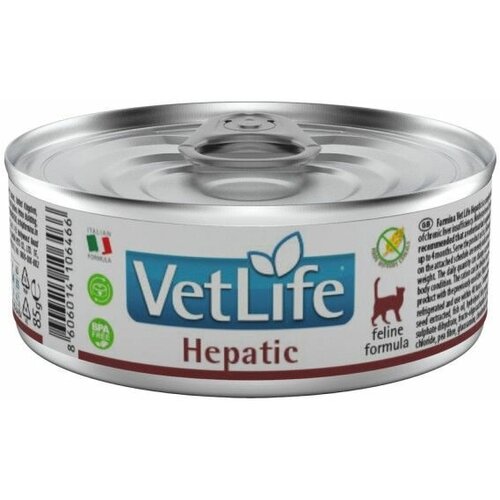    Farmina Vet Life Cat Hepatic,  ,   ,   510 ( 85 x 6 . )   -     , -  