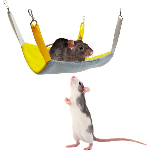 ���� ����� ��� ������� � ������ �������� ������������, ������������ mini, �����-�����, ������ ������