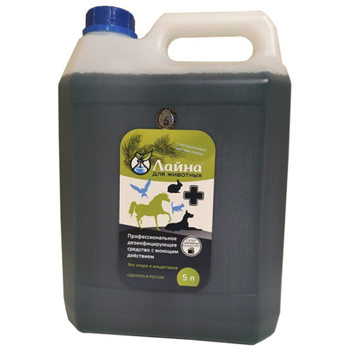 ���� ��������������� �������� ����� ��� ������ ���� �������� ���. �������� 5 � � ������� �����, ������ ������