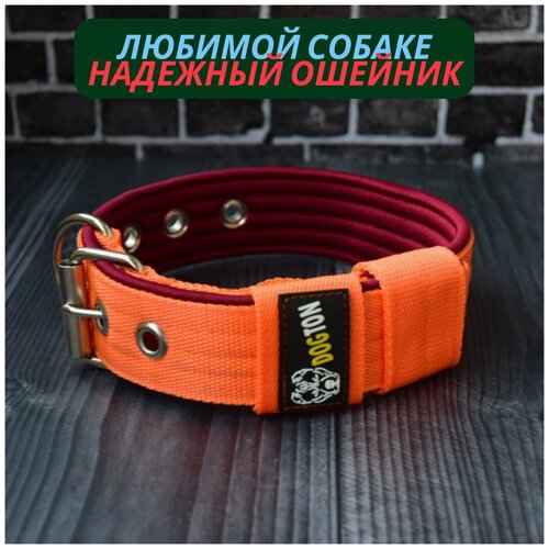 ���� ������� ��� �����. ������ ������. ������ 4.5 ��. ������ �������. ������� ���������., ������ ������