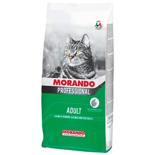  Morando Professional Gatto        , 2    -     , -,   