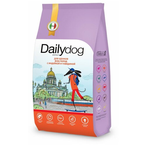    Dailydog casual       - 12   -     , -  