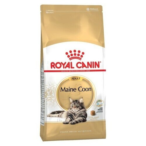    RC Maine Coon   , 2    -     , -,   