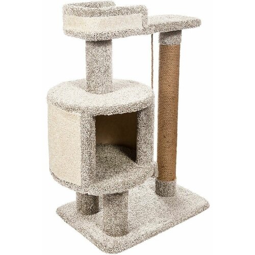 ���� ������� �������� ��� ����� 