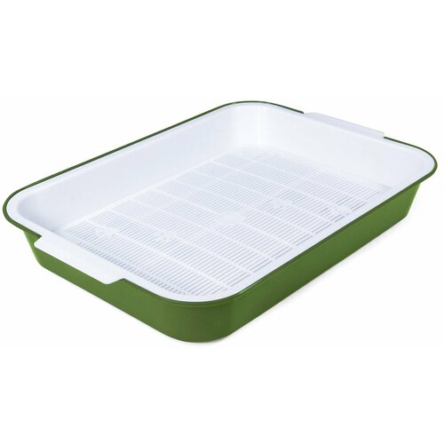 ���� ������ ��� ����� � ������ 