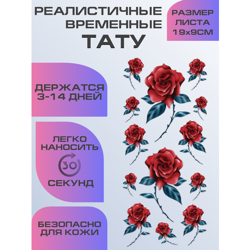 ���� ���� ���������� ��������������, ��������� ������� ����, ������ ������