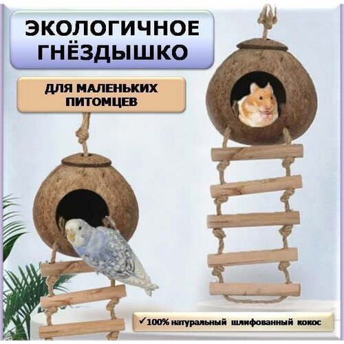 ���� ��������� ����� ��� ��������, ������ ���� � �������� �� ������������ ������, ������ ������