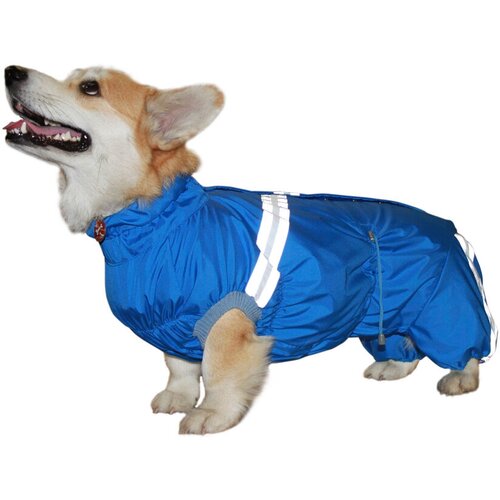 ���� ���������� ��� �������� ������ ����� ������������ �� ���������, ������ 