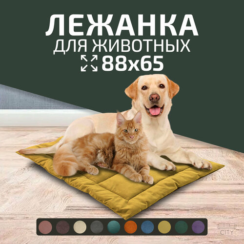 ���� ������� ������� City HD ��� ����� � �����, 88�65�3 ��, ���������, ������ ������