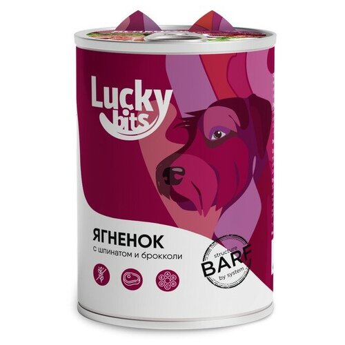    Lucky bits      6   ,   , 6  400    -     , -,   