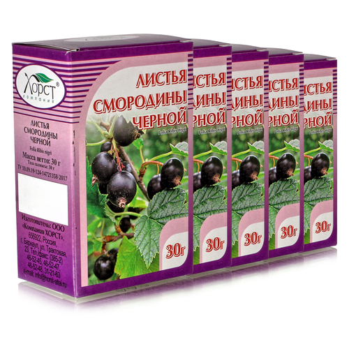 ���� ��������� ������, ������ 30��, 5 ��, ������ ������