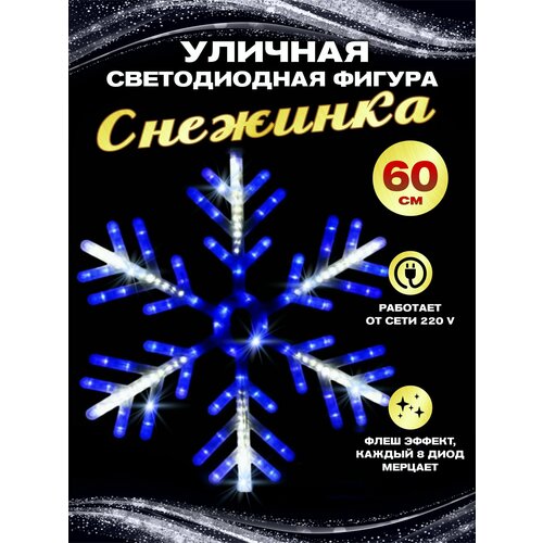 ���� ��������� ������������ ������ �������� ������� �������� � ����������� ������� 60 �� ����-�����, ������ ������