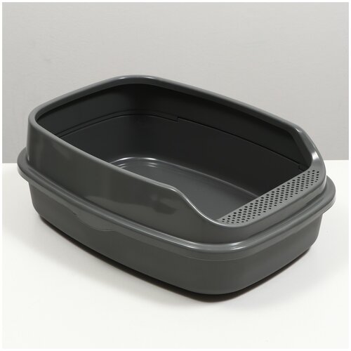 ���� �������� ������ ��� ����� ����-���� ���� XL, ������ ������