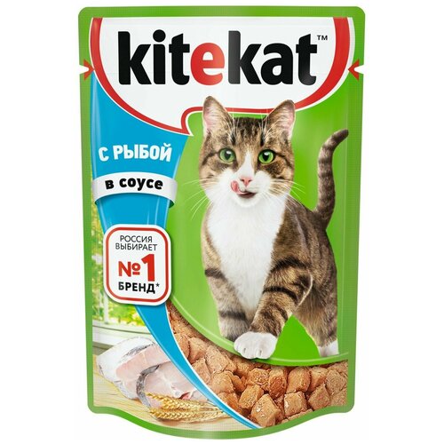    KiteKat  ,   , , 85 (28 .)   -     , -,   