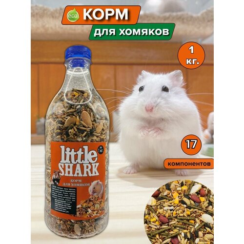 ���� ���� ��� ������� � ����������� 1 ��, ������ ������