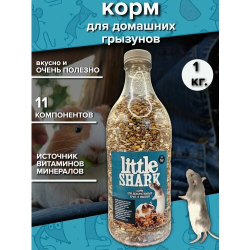    ,    Little Shark, 1    -     , -  