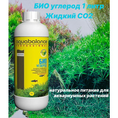       1. AQUABALANCE .   -     , -  