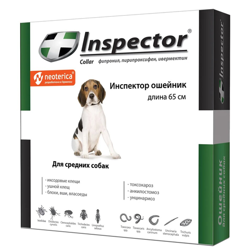  Inspector    ,        1 .  ., 1 .   -     , -  