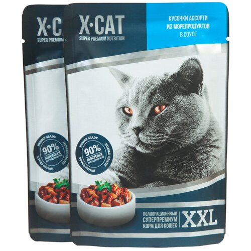  X-CAT XXL          (85   12 )   -     , -,   