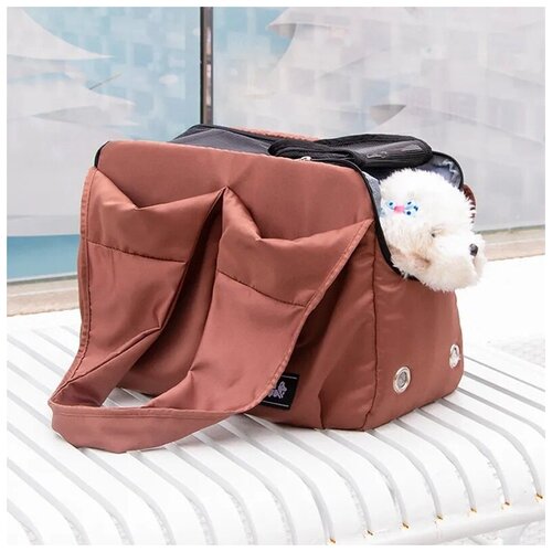 ���� �����-��������� ��� �������� ��������, ������ ������