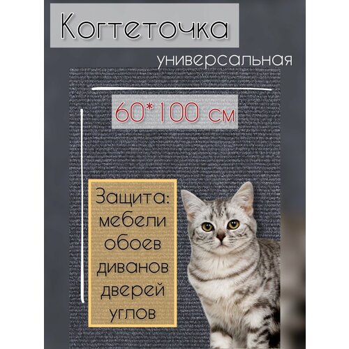 ���� ���������� ������������� �������������, ������ ������