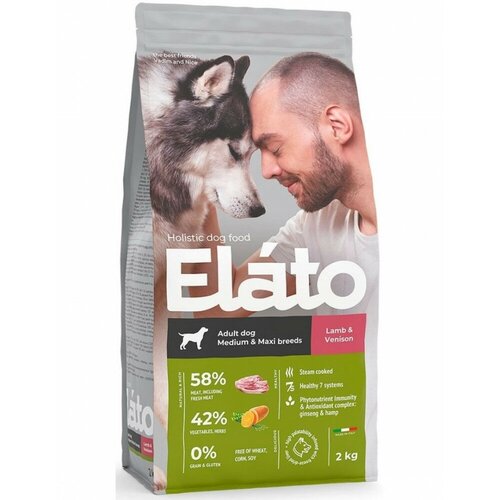  Elato ()     Holistic,     ,    , 2    -     , -  