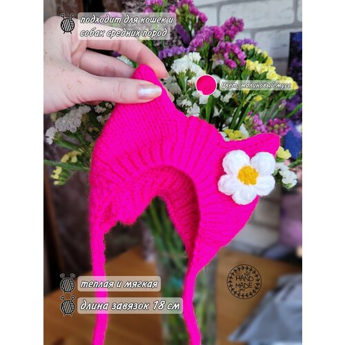 ���� ����� ��� ����� � ����� 