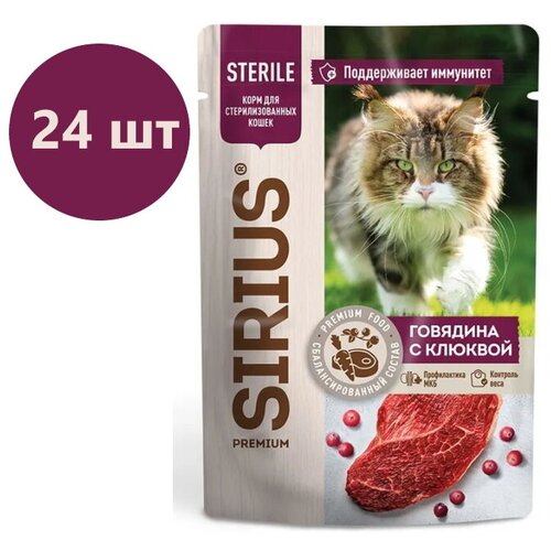    SIRIUS   ,   ,   , 24   85    -     , -  