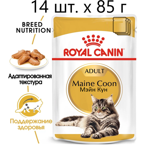      Royal Canin Maine Coon Adult,     -, 14 .  85  (  )   -     , -  