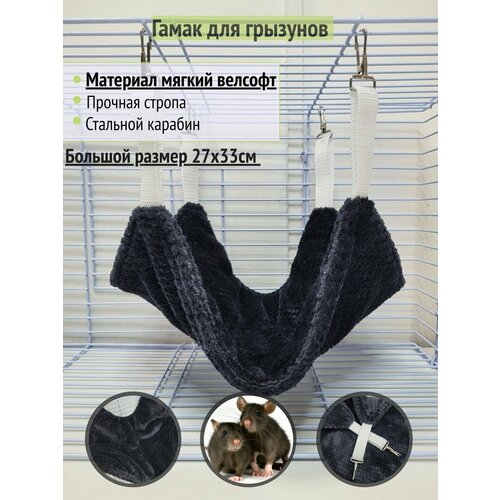 ���� ����� ��� �������� 