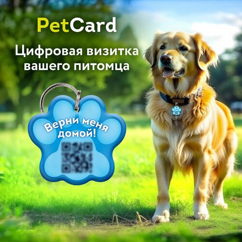   PetCard      QR   NFC, .   -     , -  