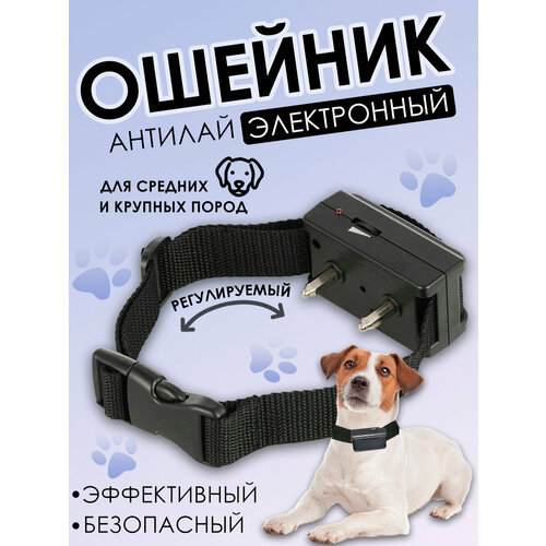 ���� ������� ��� ����������� �����, ������� ��� ����� ������� � ������� �����, ����������� ������� ��� ����� ��� ����������� � ��������� ��������� ����� �������, ������ ������