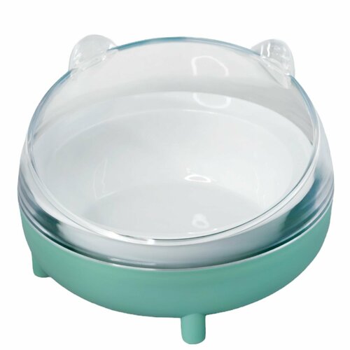 ���� ����� ��� �����, ��� �����, ��� ��������, 