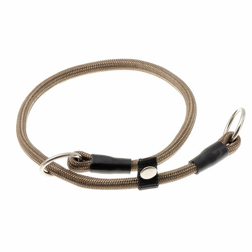 ���� �������� ���� ������� ZooOne (co ��������) � 2-� �������� ������� 6 ��, ����� �������� 40 ��, ������ ��� 40 ��, 1 ��., ���������, ������ ������