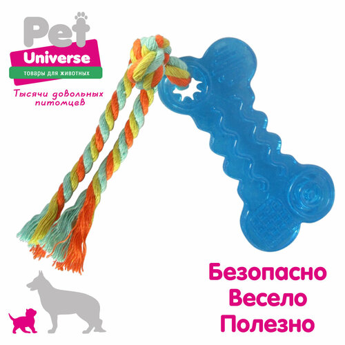      Pet Universe.      18*4.3  /PU3006BE   -     , -  