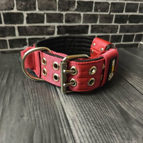 ���� ������� � ������ ��� �����. ������ 5.5 ��. ��� ��������� �������. ������ 35-47 ��. ���� �������� � ������ ���������., ������ ������