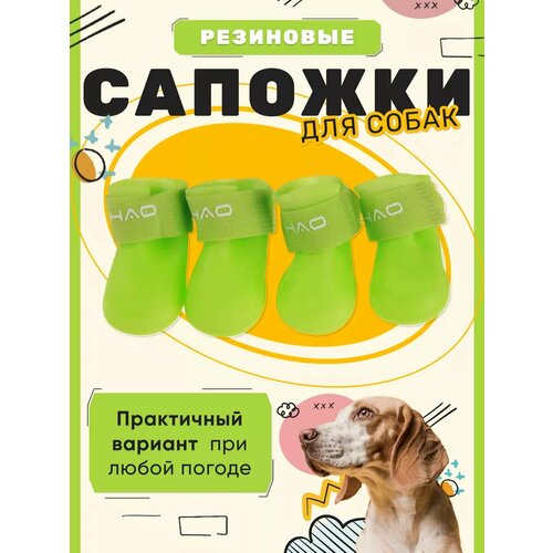 ���� ����� ��� ����� ������� �������������, ������ ������