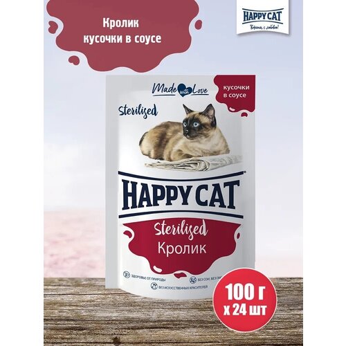          Happy Cat    , 100   24 .   -     , -,   