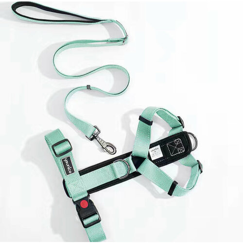 ���� �������� ������������� ������ + ������� � �������� �������� XS, ������ ������