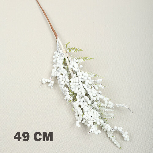 ���� �������������� ��������� (������� ����� 49 ��), ������ ������