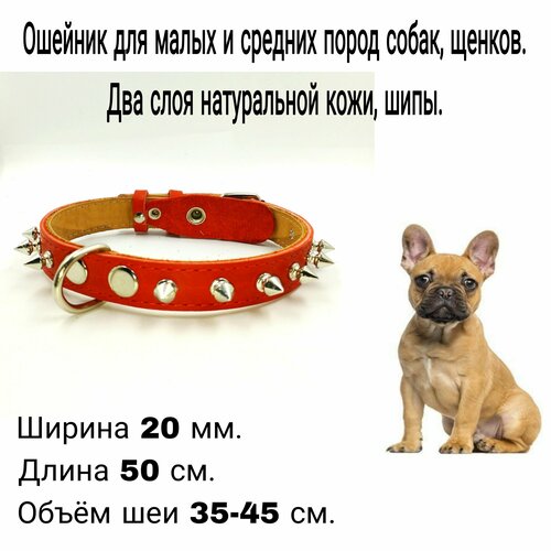 ���� ������� �� ����������� ���� � ������ ��� ����� ����� � ������� �����, ������ 20 ��*59 ��, ����� ��� 35-45 ��. ��� ���� ����������� ����., ������ ������